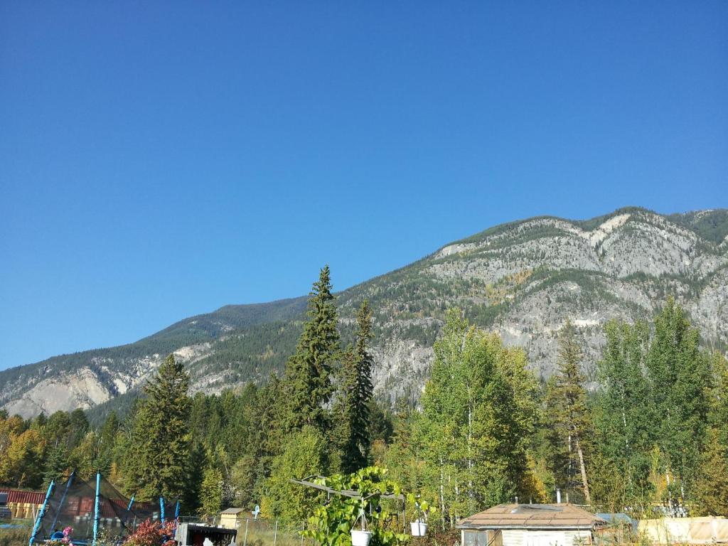 Steamboat Mountain Chalets Hotel Spillimacheen Buitenkant foto